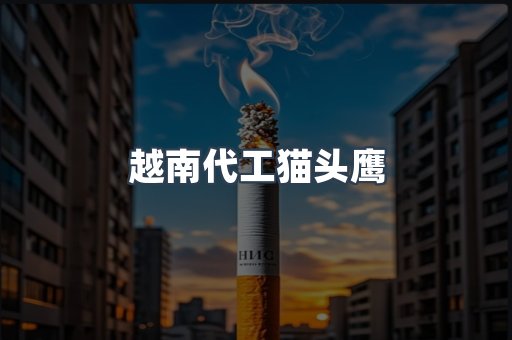 越南代工猫头鹰